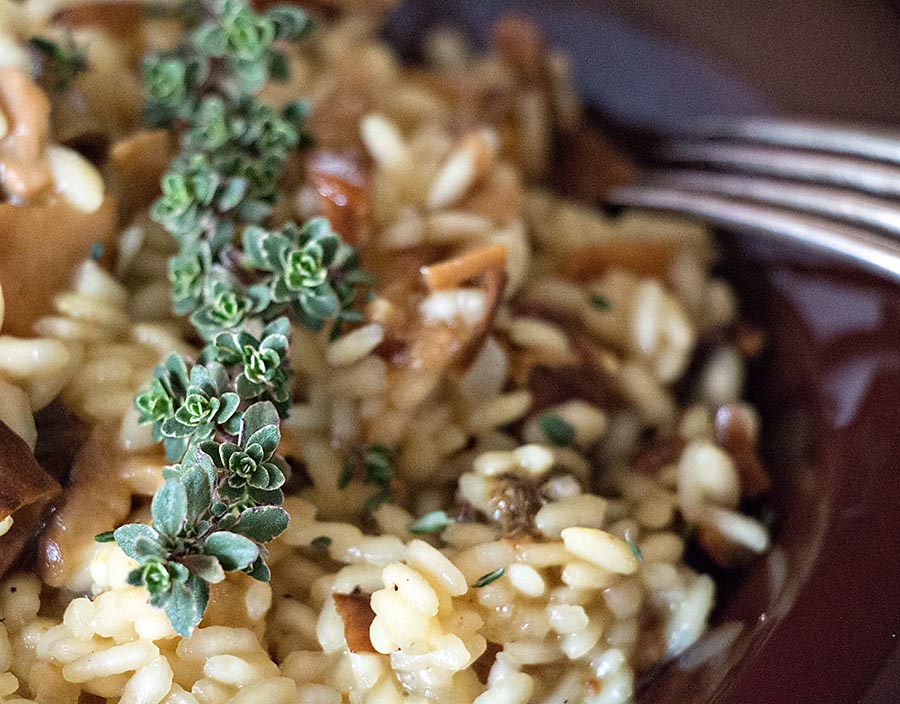 Dried Mushroom Risotto – the chef mimi blog